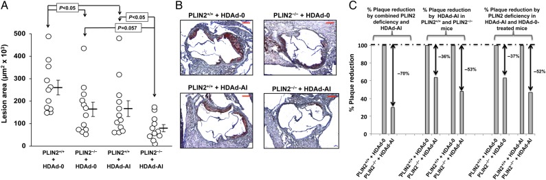 Figure 5