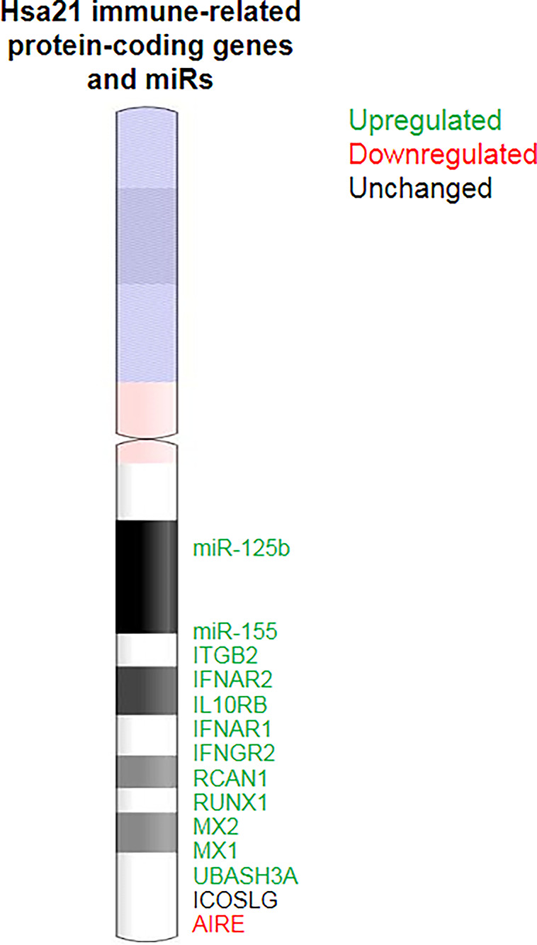 Figure 2