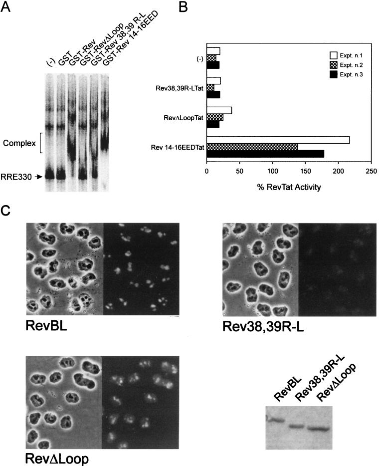 FIG. 6