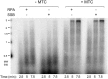 Fig. S3.