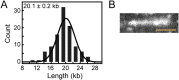 Fig. S1.