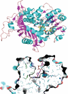 FIGURE 6.