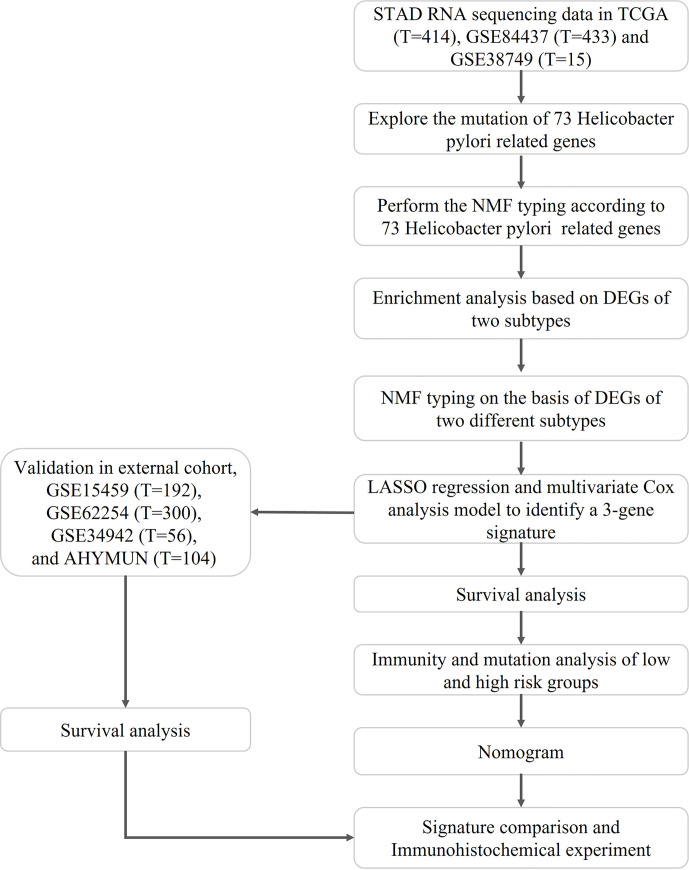 Figure 1