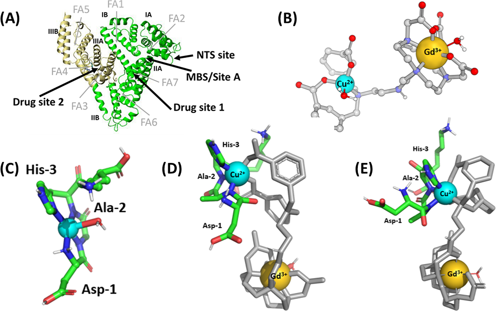 Figure 5.