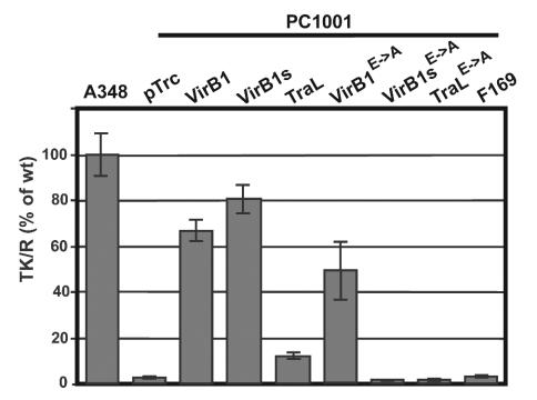 FIG. 6.