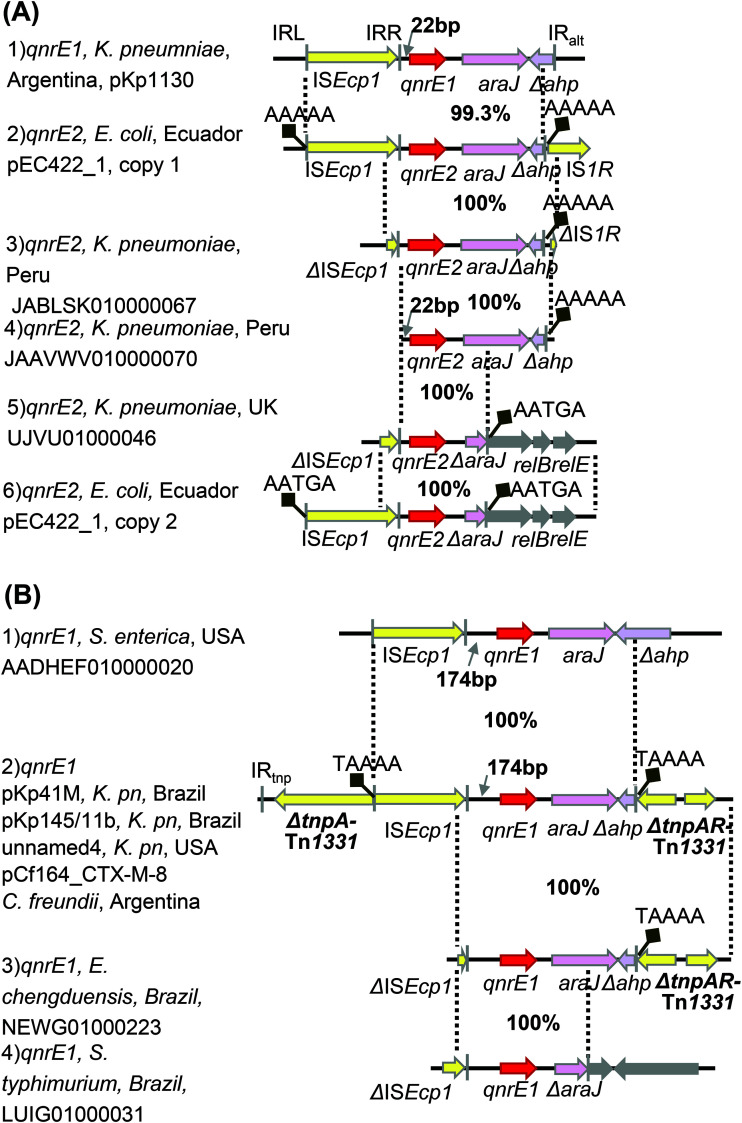 FIG 3
