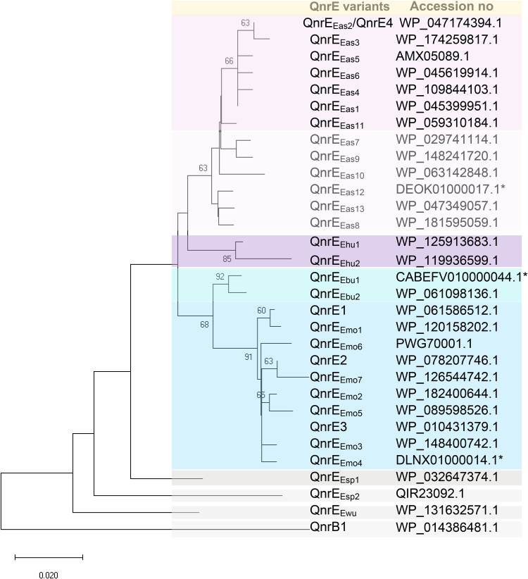 FIG 1