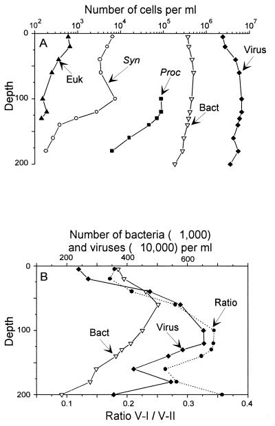 FIG. 6