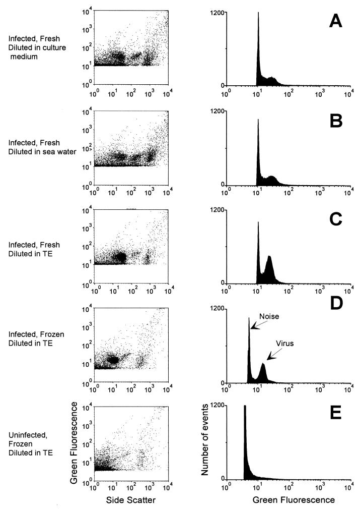 FIG. 1