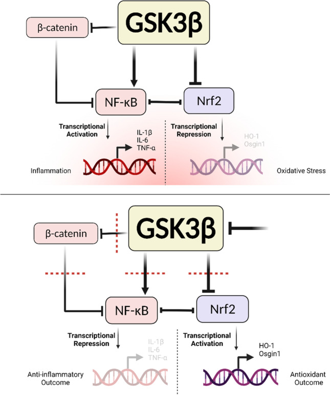 Fig. 12