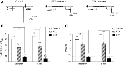 Fig. 8.