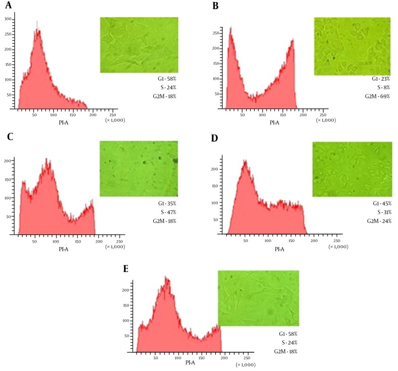 Figure 4.