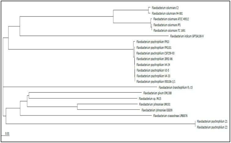 FIGURE 3