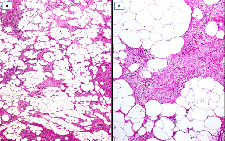 Fig. 8.