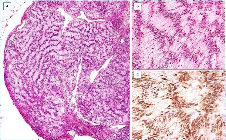 Fig. 6.