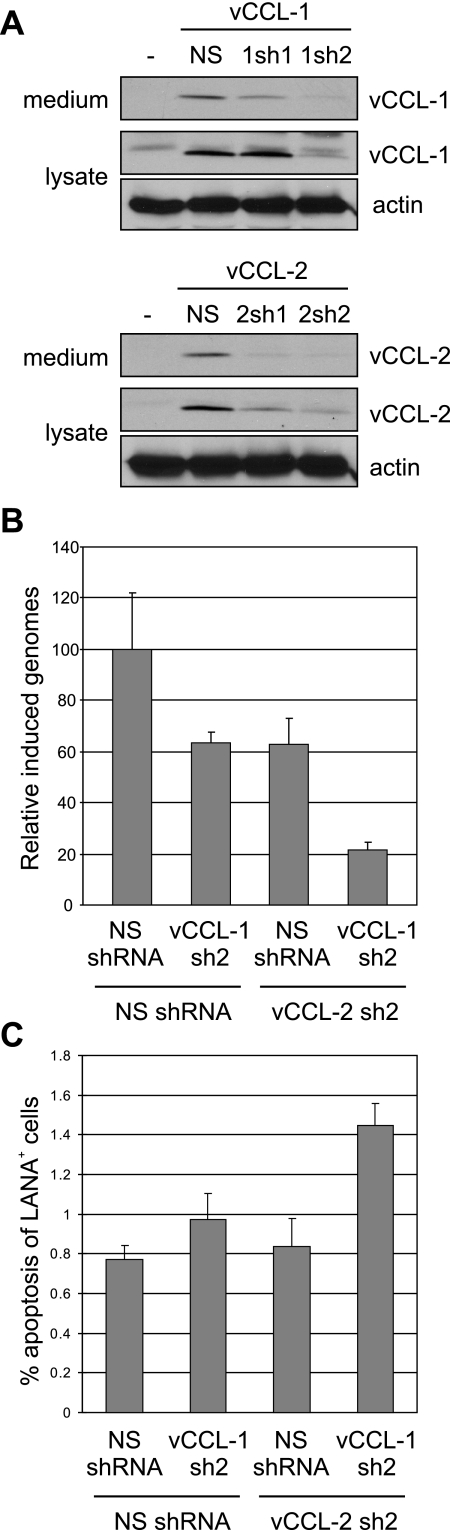 FIG. 7.