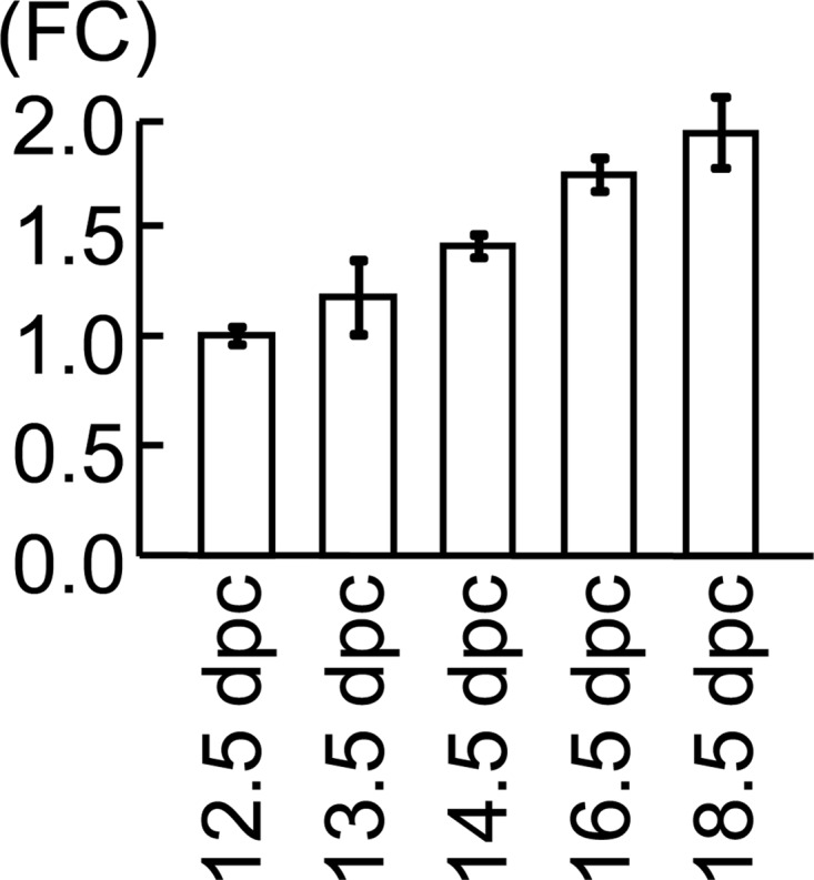 Fig. 2.