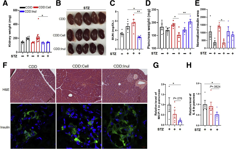 Figure 3