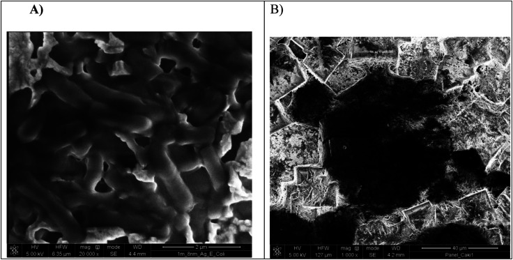 Fig. 8