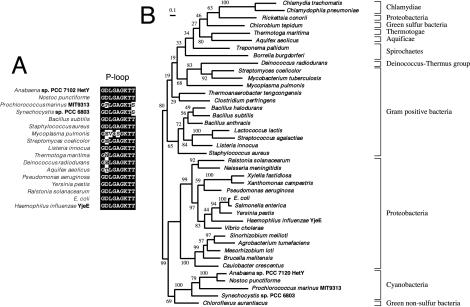 FIG. 6.