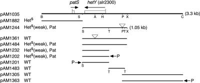 FIG. 1.