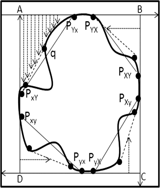 Fig. 6