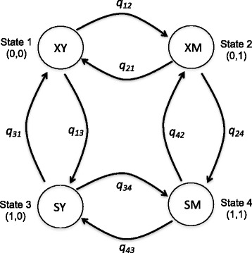 Fig. 1