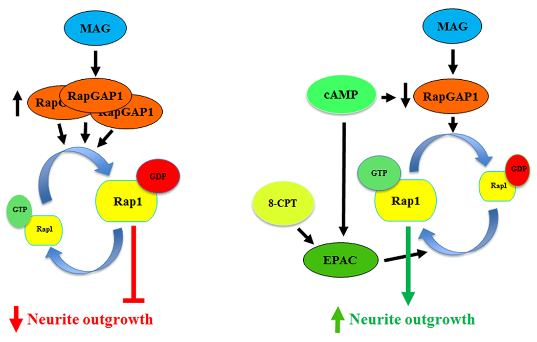 Figure 7.