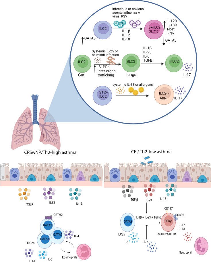 Figure 2