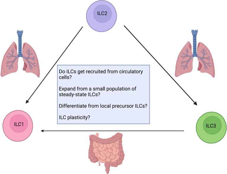 Figure 5