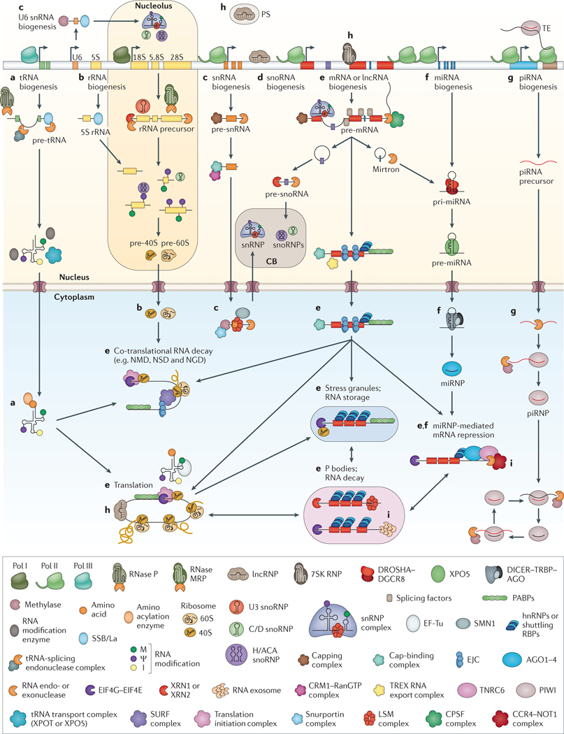 Figure 1 |