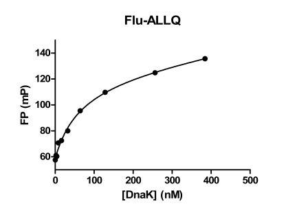 Fig. (3). Binding Isotherms for Flu-ALLQ to DnaK.