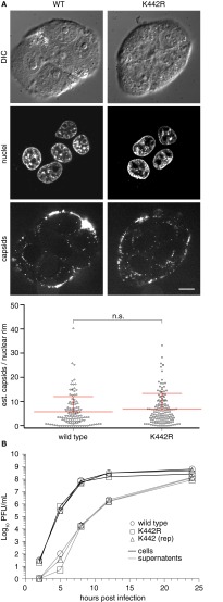 Fig. S1.