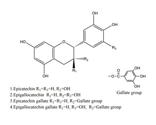 graphic file with name molecules-25-04626-i031.jpg