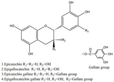 graphic file with name molecules-25-04626-i001.jpg