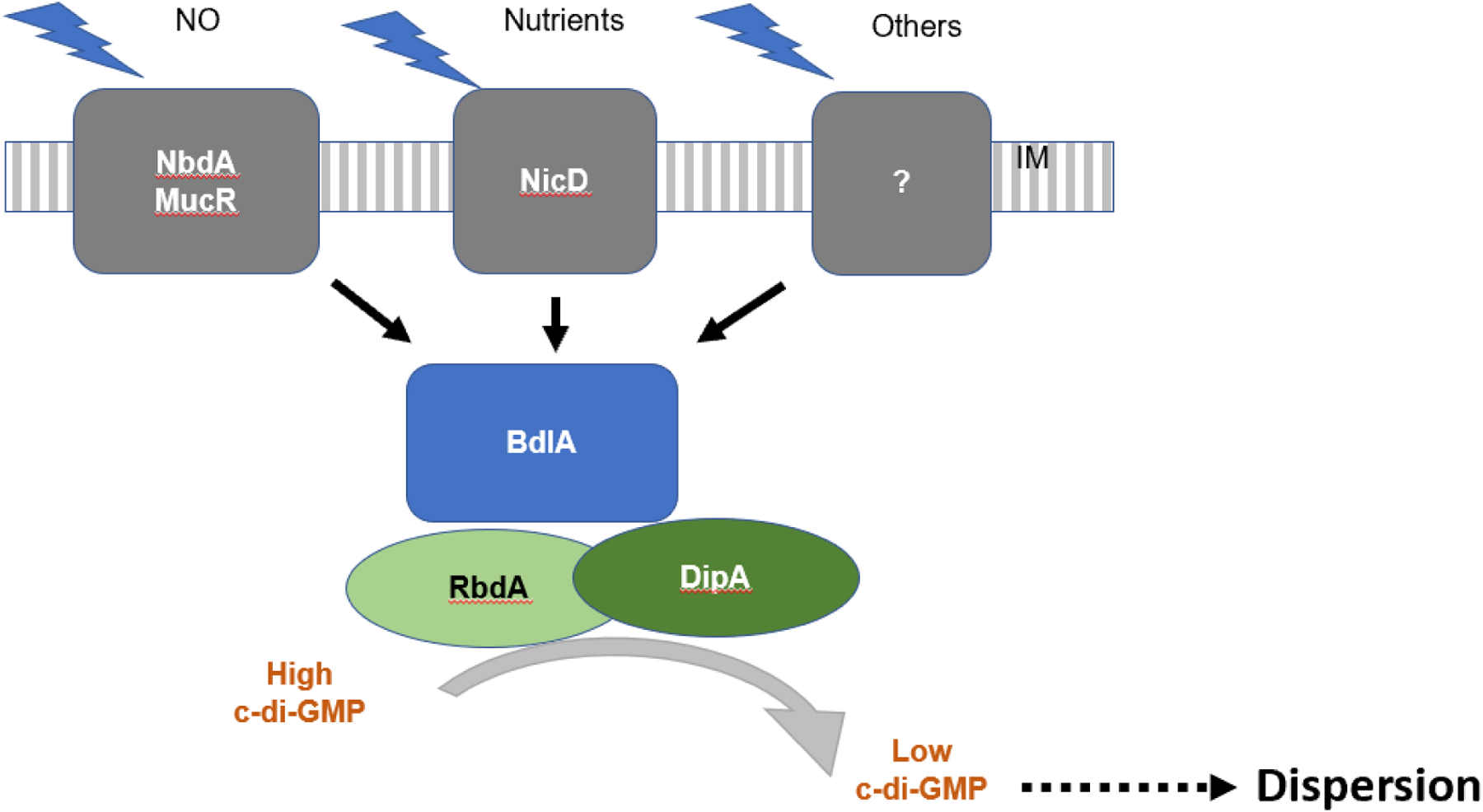 Figure 3: