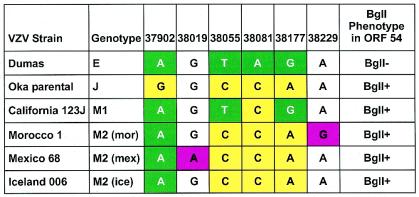 FIG. 2.