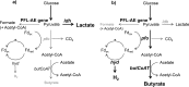 FIG 6