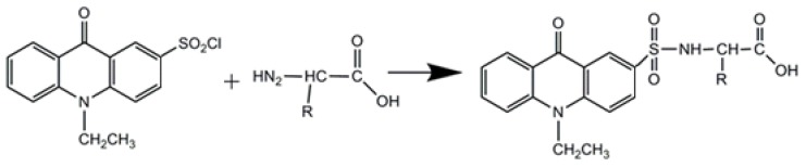 Scheme 2