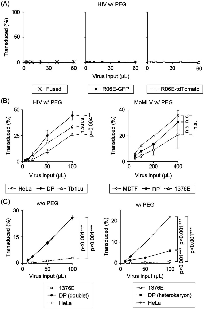 FIG 3