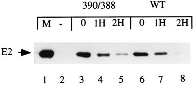 FIG. 5