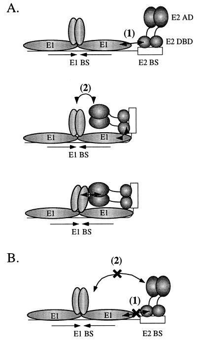 FIG. 6