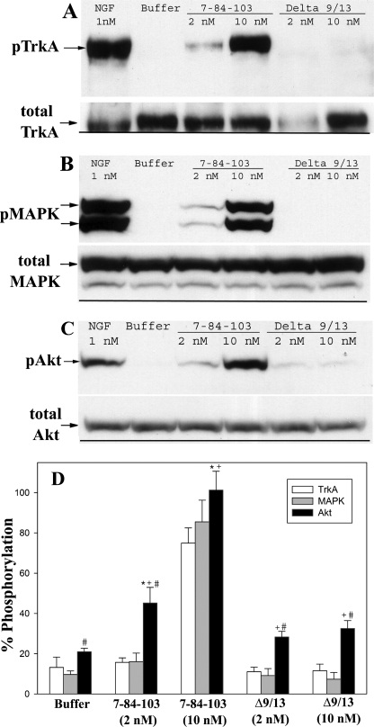 FIGURE 10.