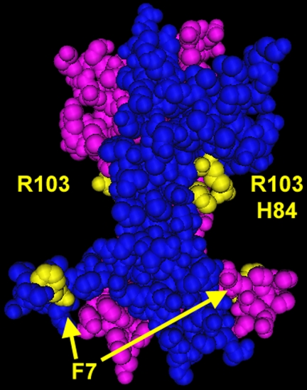 FIGURE 11.