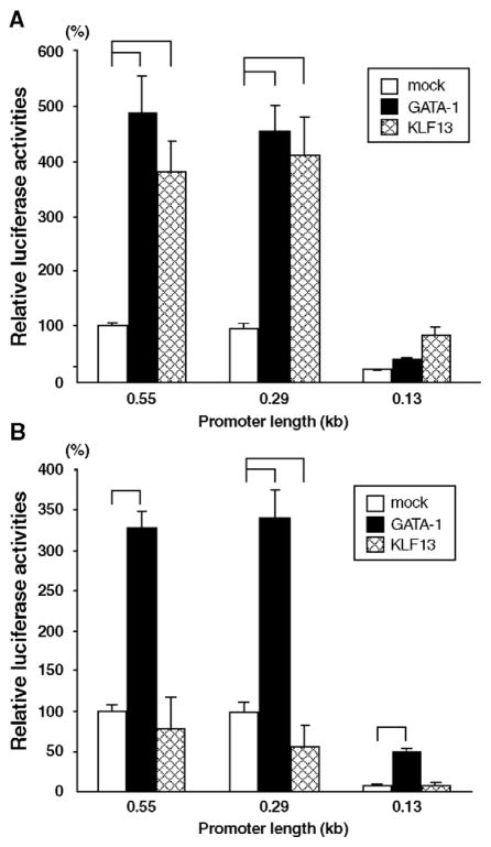 Fig. 5