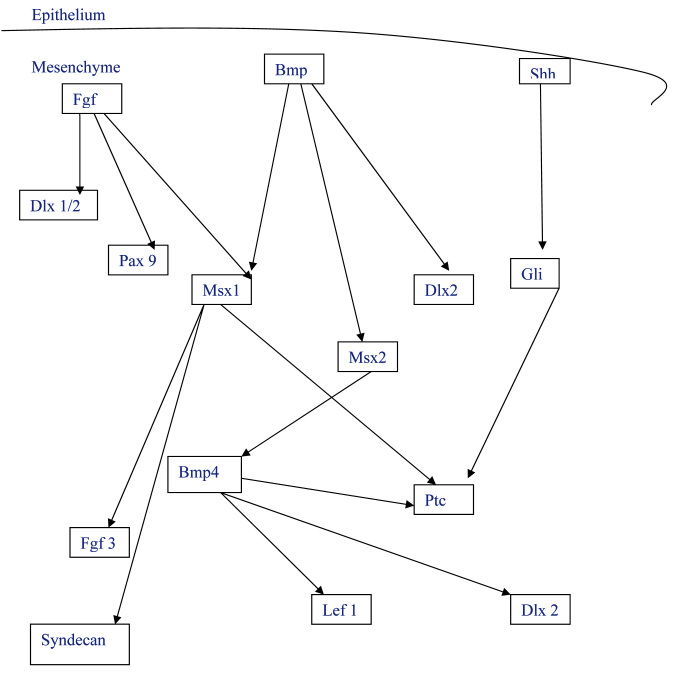 [Table/Fig-1]: