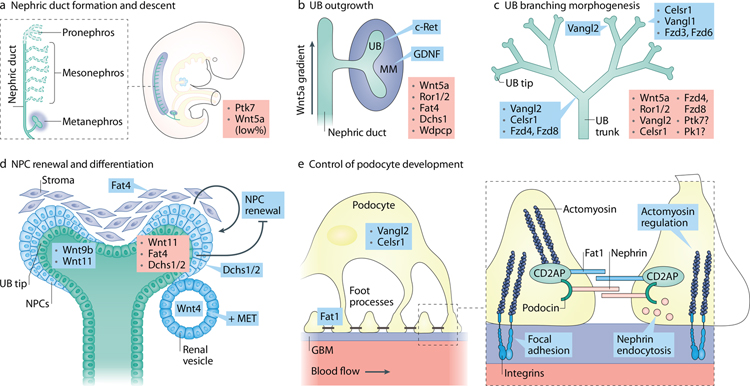 Figure 3: