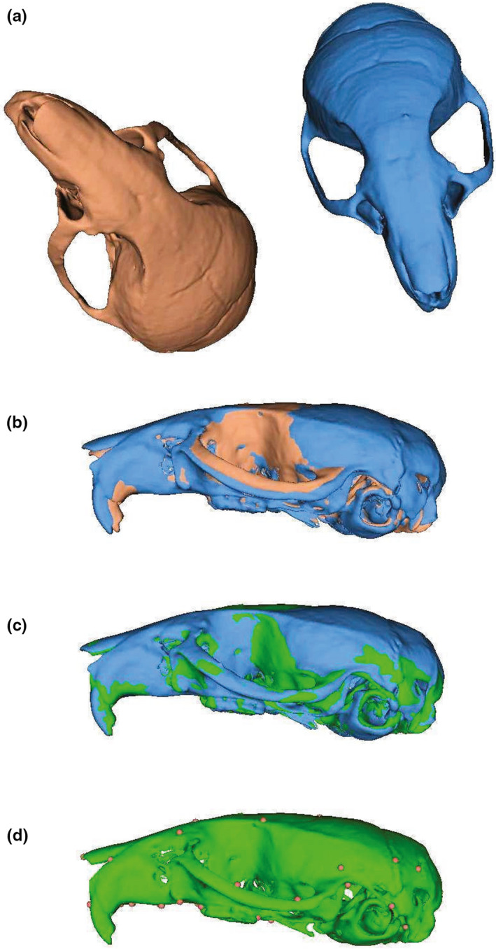 FIGURE 1