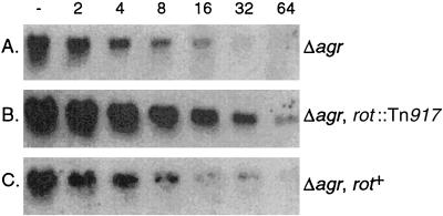 FIG. 5