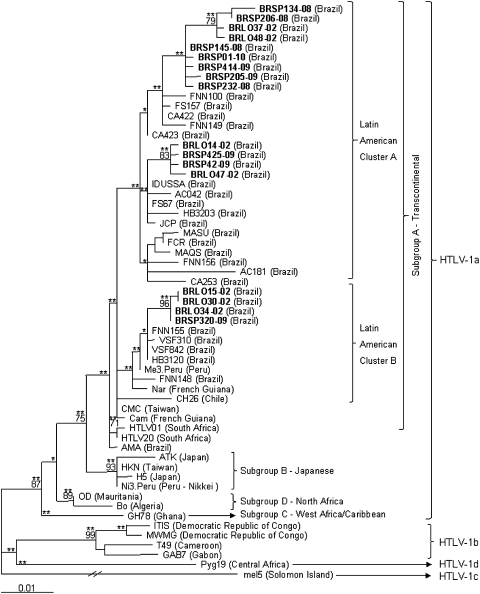 FIG. 2.